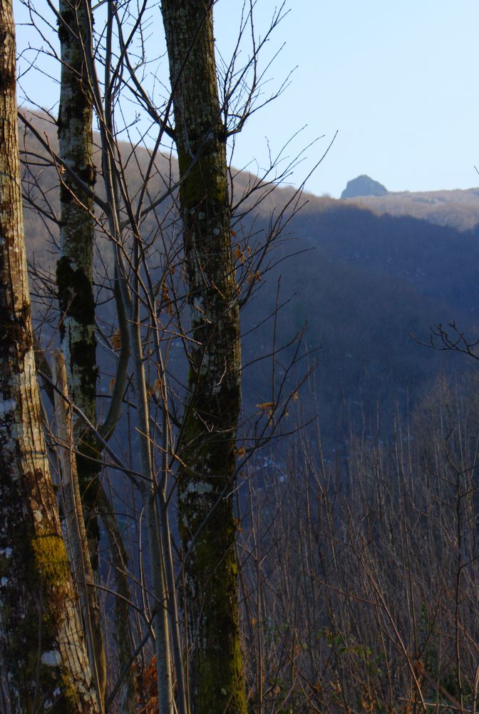 Roc de Peyremaux, Albine