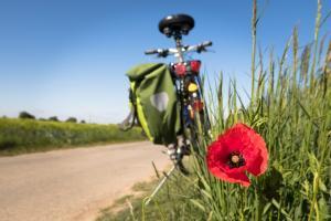 Vélos à assistance électrique